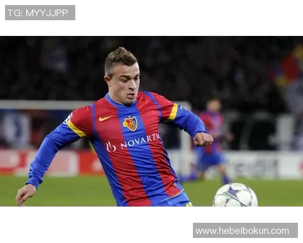 德甲球星风采:探秘顶级球员的成长轨迹与赛场表现